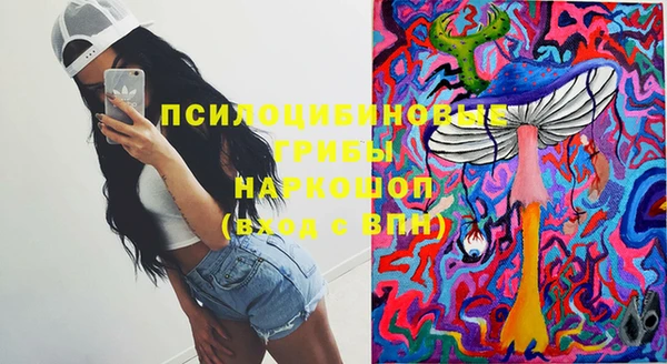 эйфоретик Нефтекумск