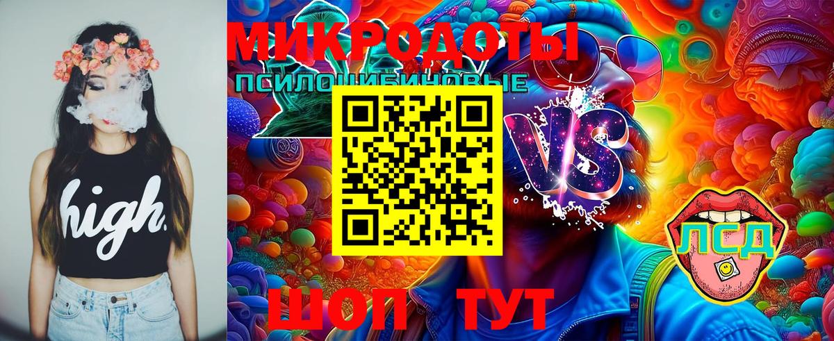 Галлюциногенные грибы мицелий Белгород