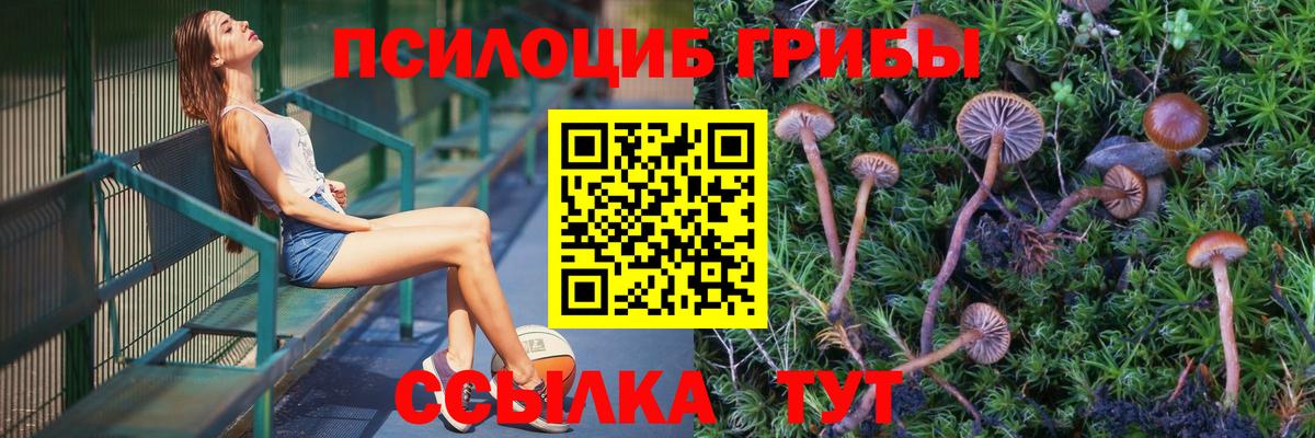 Белгород  Галлюциногенные грибы Magic Shrooms  Вход с VPN 