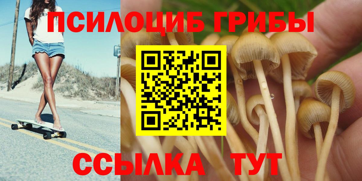 хочу наркоту  Белгород  Галлюциногенные грибы GOLDEN TEACHER 